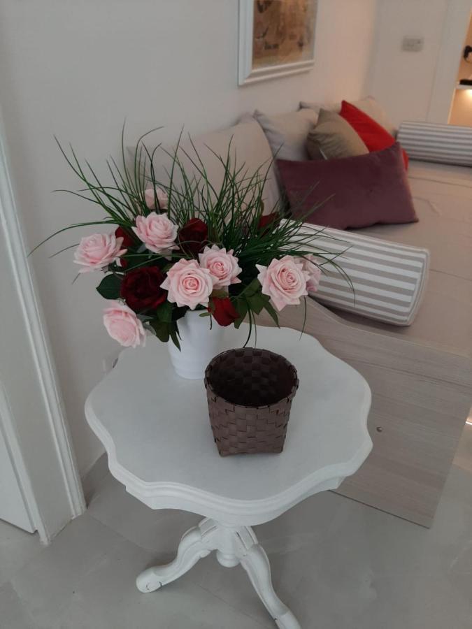 La Vie En Rose - Casa Vacanze Diamante Eksteriør billede